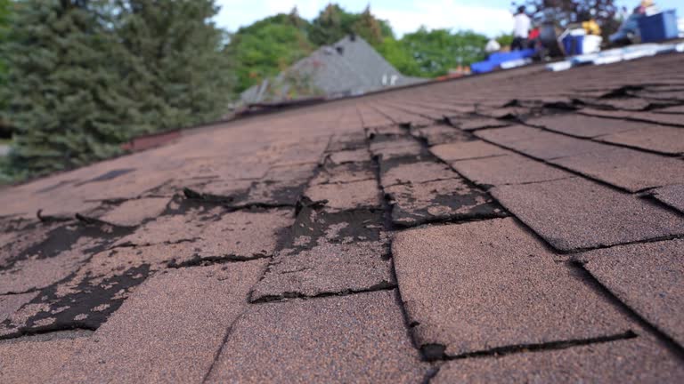 Best Roof Coating and Sealing  in Coal Run Village, KY